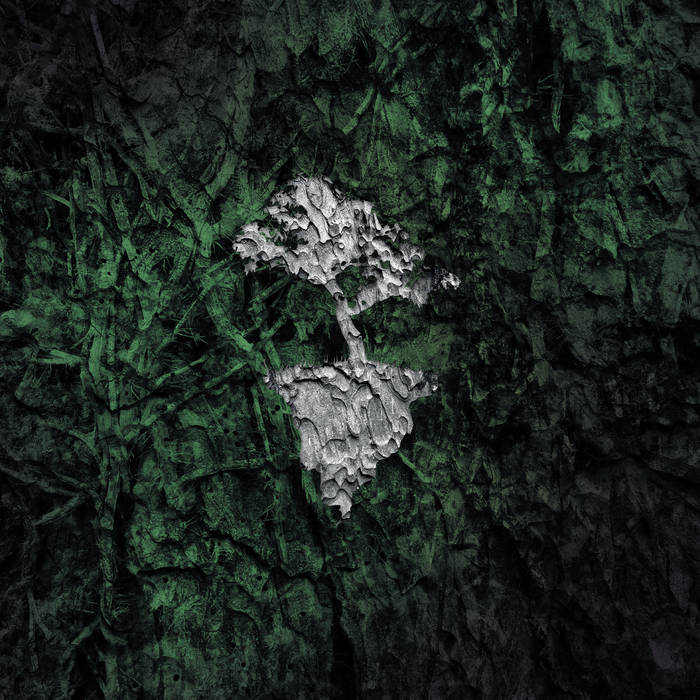 VARIOUS ARTISTS - Nebari Volume 1